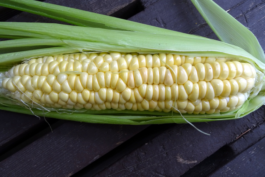 Dine Yellow Sweet Corn